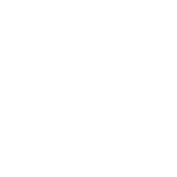 New Product Introduction (Npi) New Product Introduction (NPI)