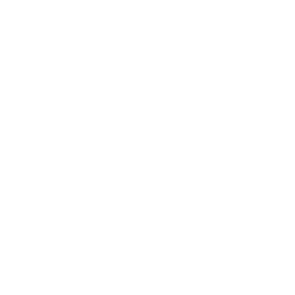 Product Launch/Transition Management